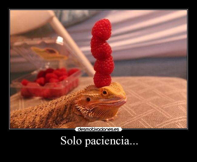 Solo paciencia... - 