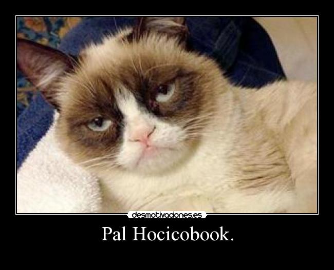 Pal Hocicobook. - 