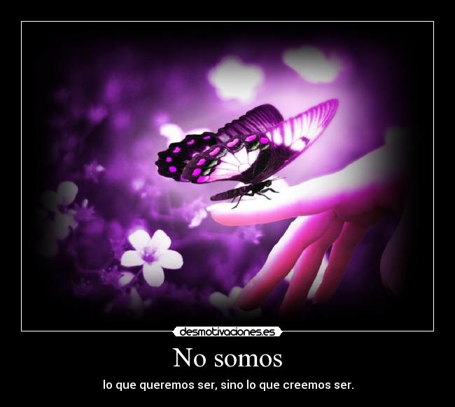 No somos - 