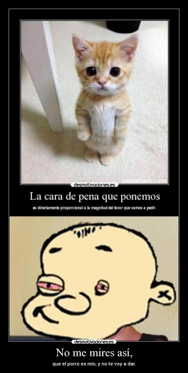 carteles puto yayo gatosxdxd desmotivaciones