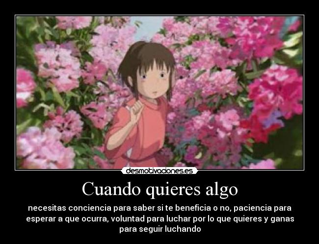 Cuando quieres algo - necesitas conciencia para saber si te beneficia o no, paciencia para
esperar a que ocurra, voluntad para luchar por lo que quieres y ganas
para seguir luchando