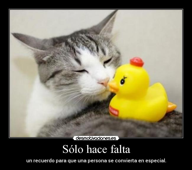 Sólo hace falta - 