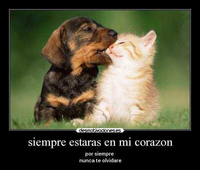 siempre estaras en mi corazon -