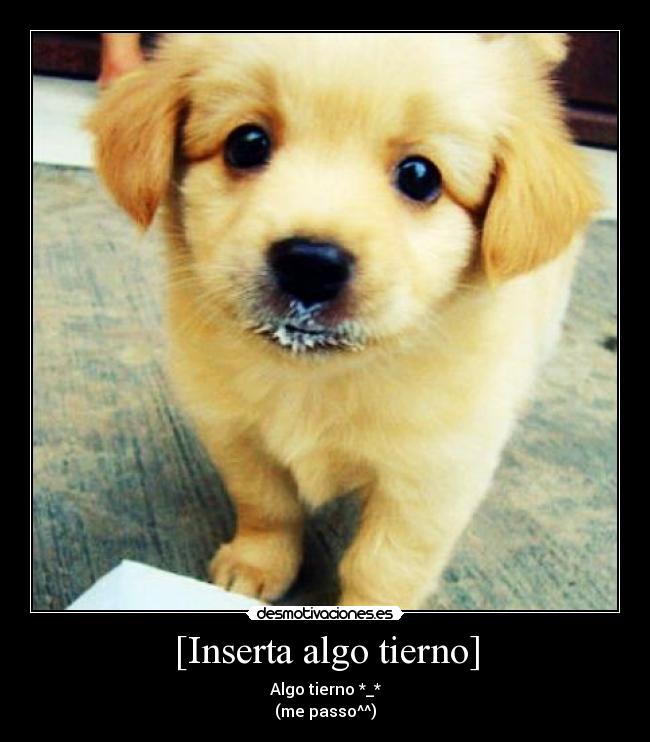 [Inserta algo tierno] - Algo tierno *_*
(me passo^^)