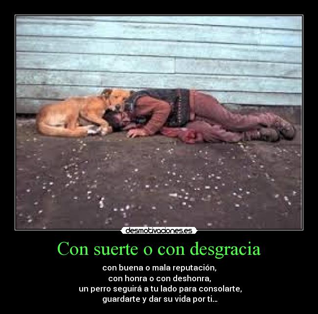 Con suerte o con desgracia - con buena o mala reputación,
con honra o con deshonra,
 un perro seguirá a tu lado para consolarte,
 guardarte y dar su vida por ti…
