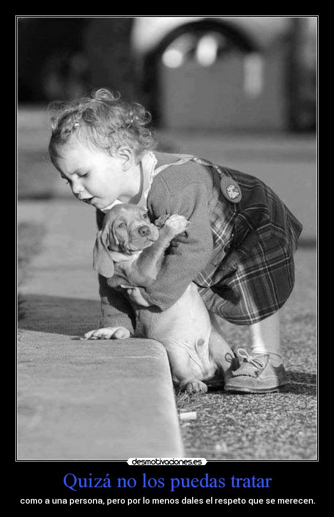 carteles love pets desmotivaciones