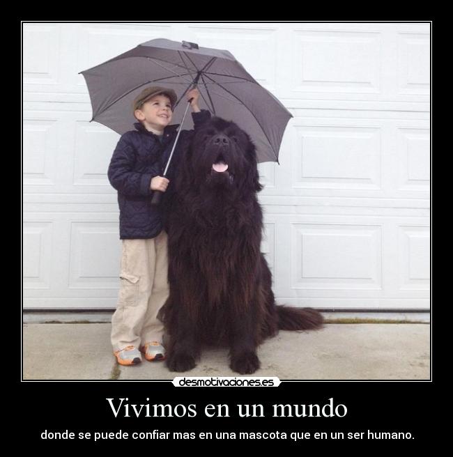 Vivimos en un mundo - 