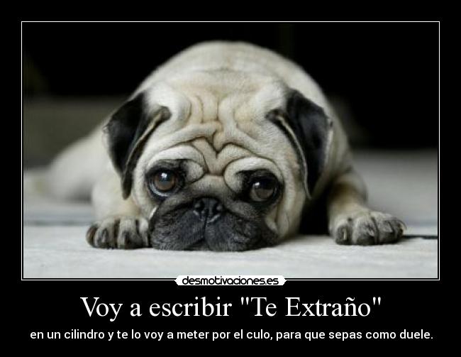 Voy a escribir Te Extraño - en un cilindro y te lo voy a meter por el culo, para que sepas como duele.