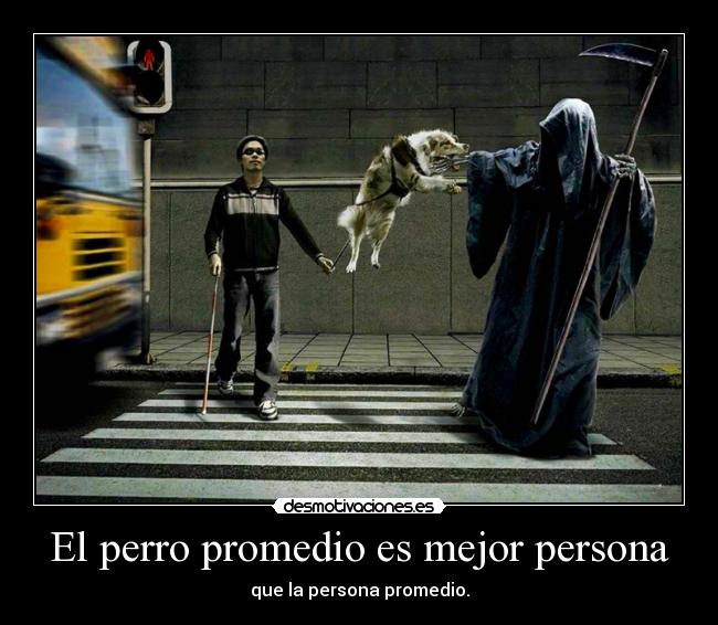 El perro promedio es mejor persona -