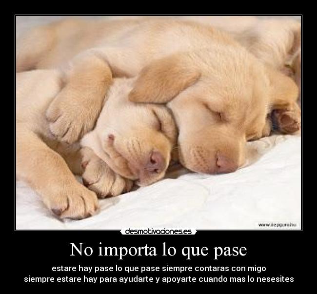 No importa lo que pase - estare hay pase lo que pase siempre contaras con migo
siempre estare hay para ayudarte y apoyarte cuando mas lo nesesites