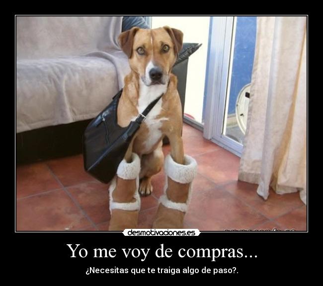Yo me voy de compras... - ¿Necesitas que te traiga algo de paso?.
