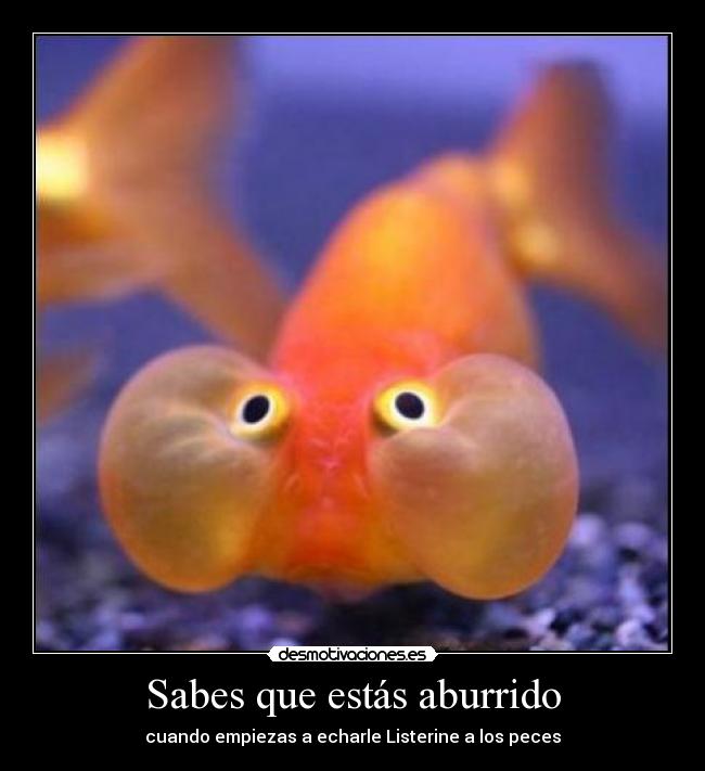 Sabes que estás aburrido - 