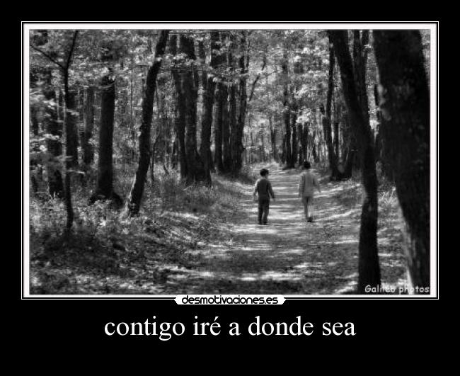 contigo iré a donde sea -