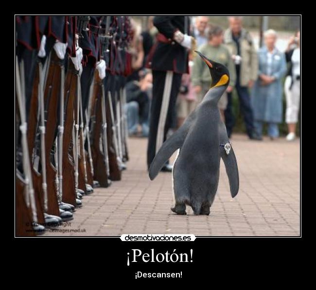 ¡Pelotón! - 