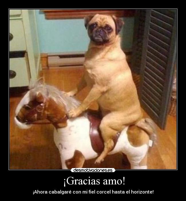 ¡Gracias amo! - ¡Ahora cabalgaré con mi fiel corcel hasta el horizonte!