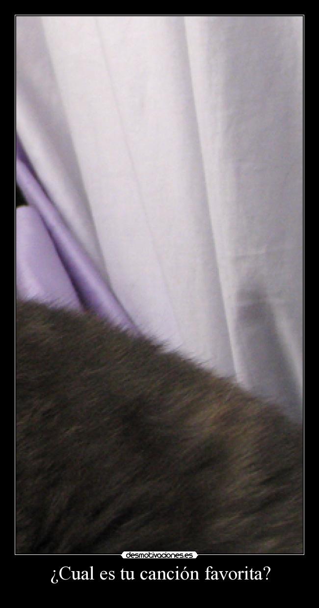 ¿Cual es tu canción favorita? -
