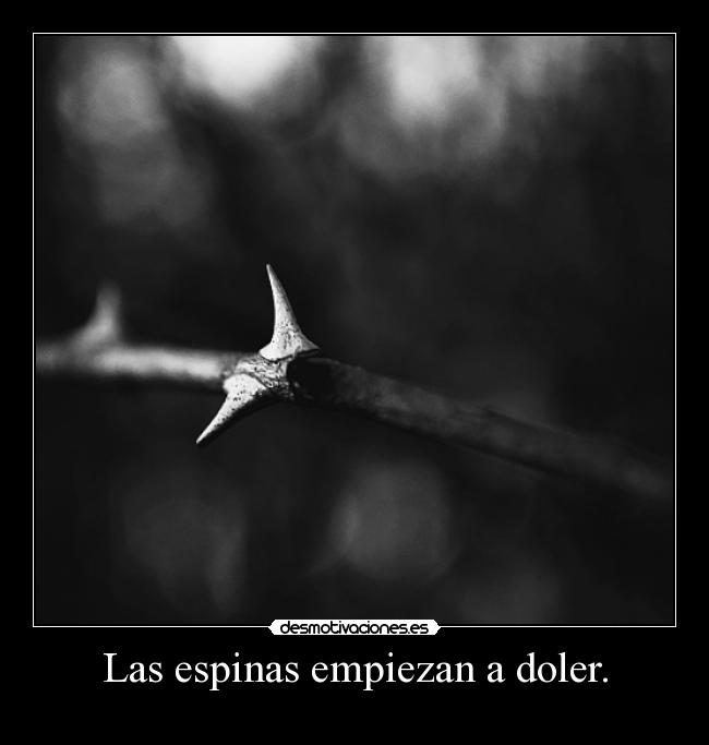 Las espinas empiezan a doler. - 