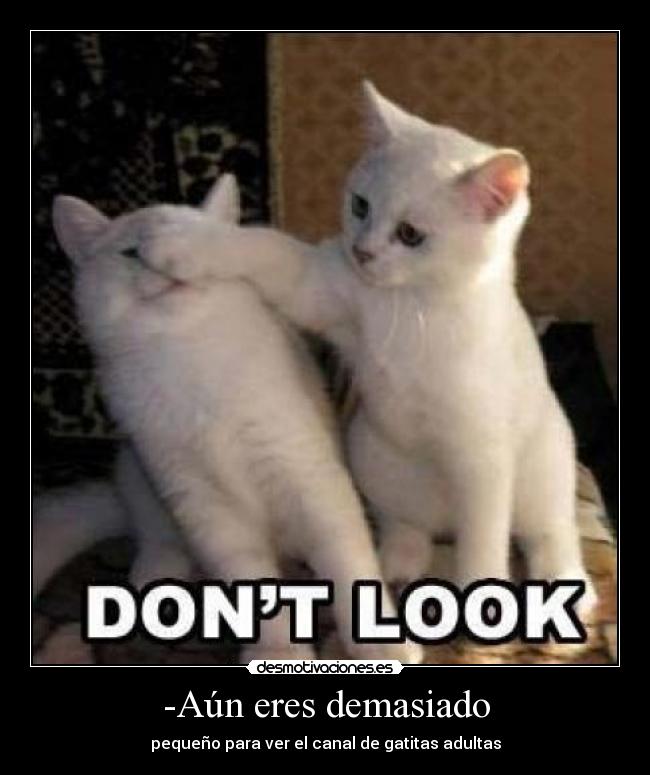-Aún eres demasiado -