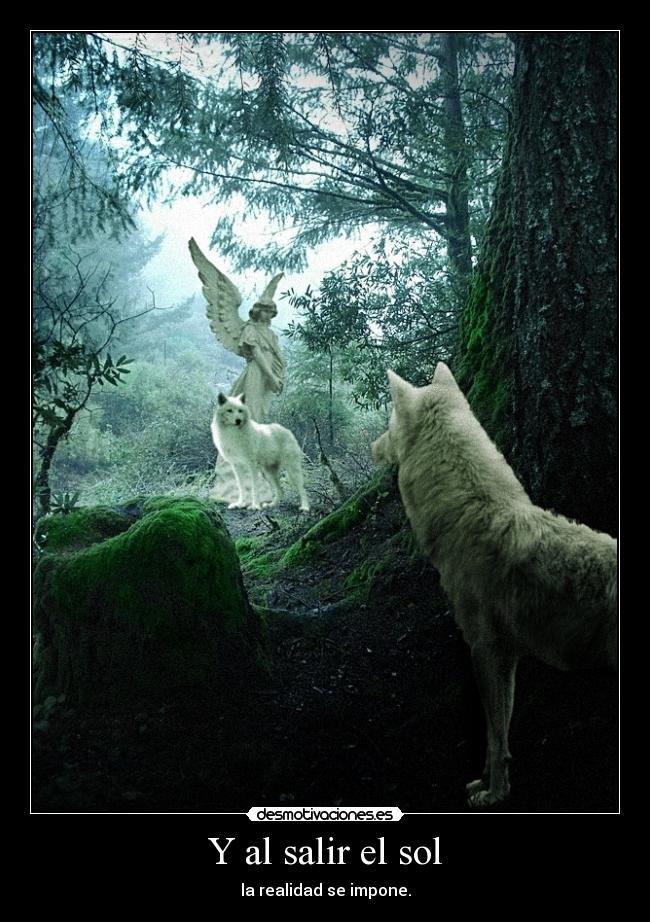 Y al salir el sol - la realidad se impone.