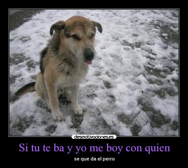 carteles ignorancia desmotivaciones