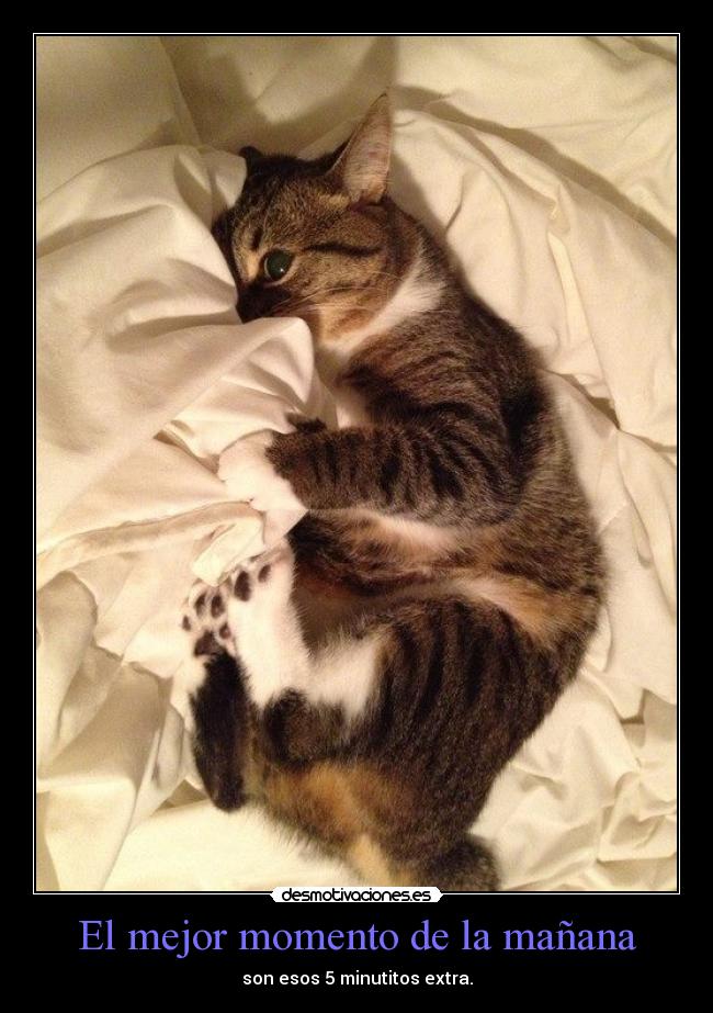 El mejor momento de la mañana -