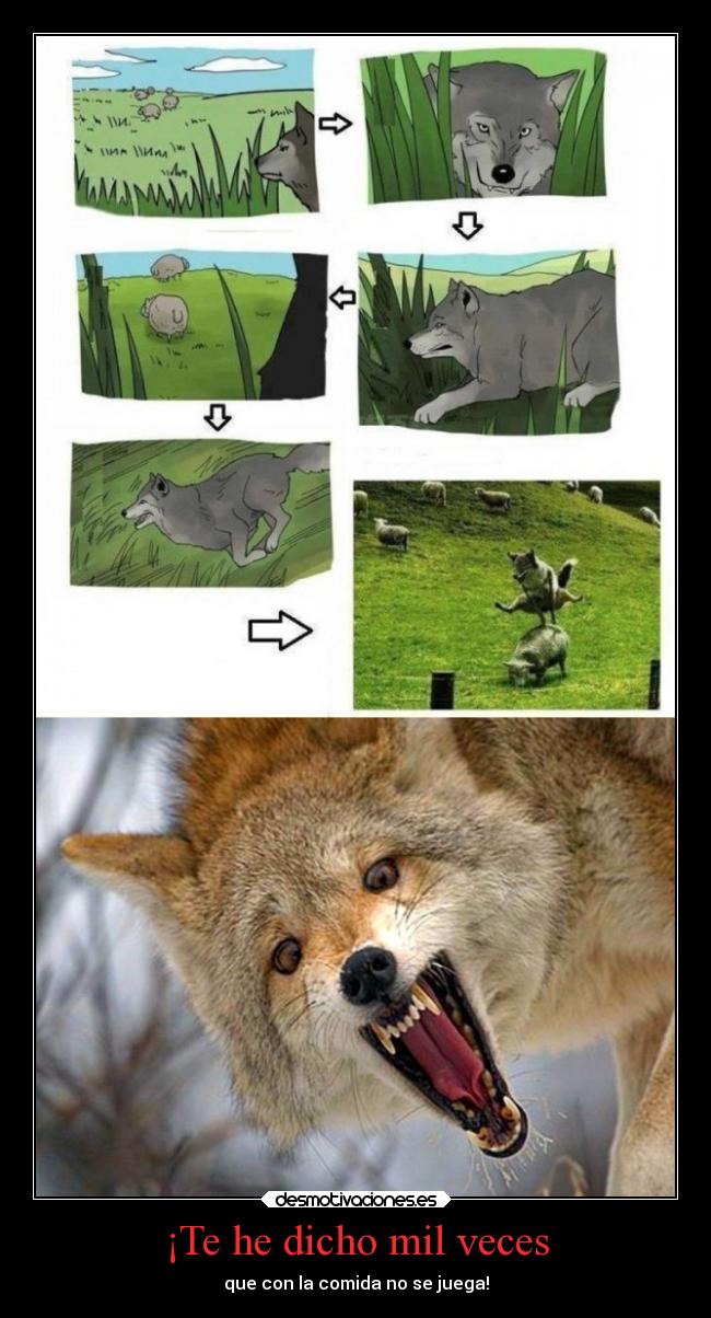 ¡Te he dicho mil veces - 