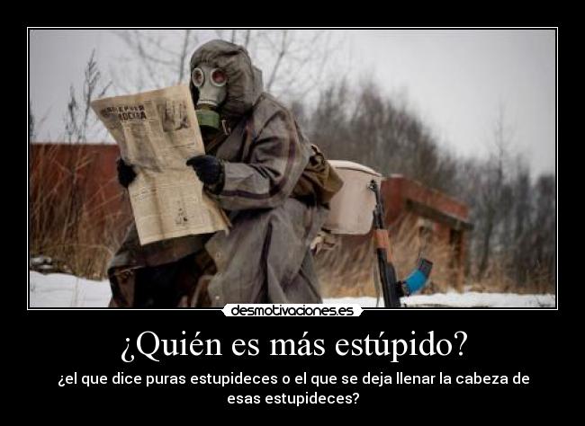 ¿Quién es más estúpido? -