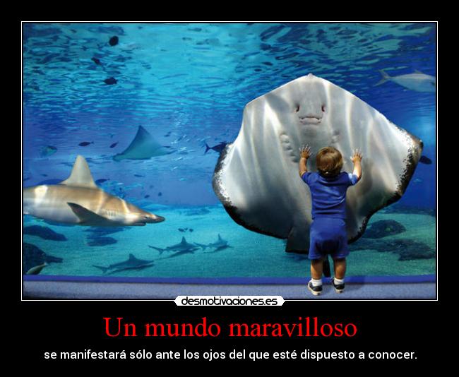 carteles mundo bbjdfs cualquier parecido con realidad pura coincidencia desmotivaciones