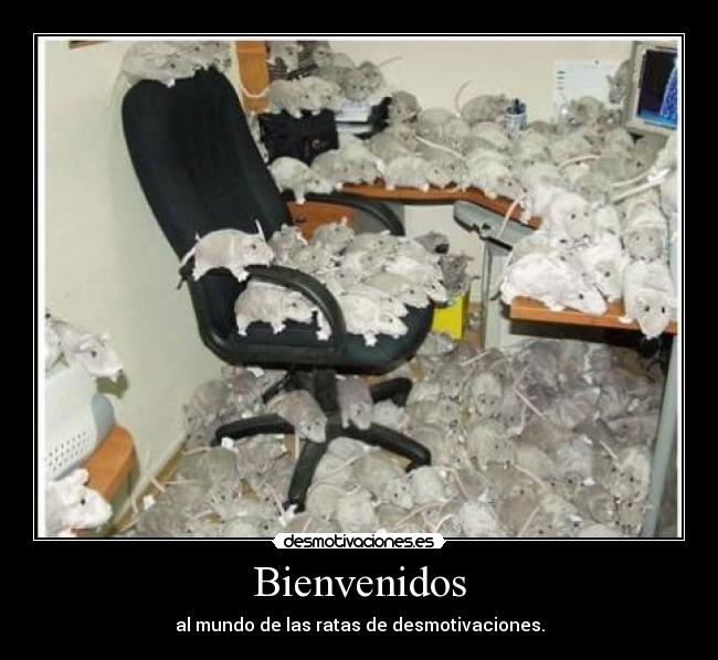 Bienvenidos - al mundo de las ratas de desmotivaciones.