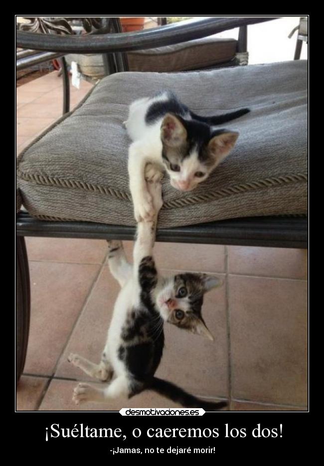 ¡Suéltame, o caeremos los dos! - 