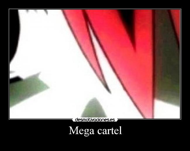 Mega cartel -