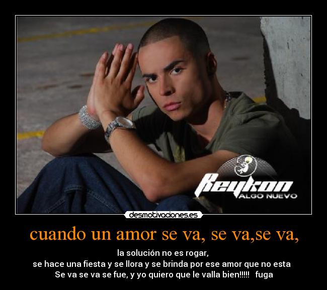 cuando un amor se va, se va,se va, - la solución no es rogar,
se hace una fiesta y se llora y se brinda por ese amor que no esta
Se va se va se fue, y yo quiero que le valla bien!!!!! fuga