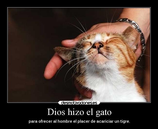 Dios hizo el gato - para ofrecer al hombre el placer de acariciar un tigre.