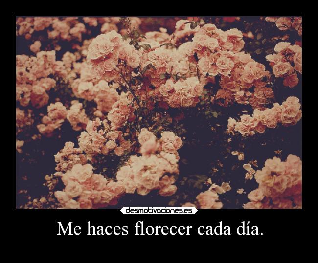 Me haces florecer cada día. - 