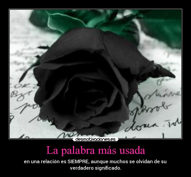 La palabra más usada -