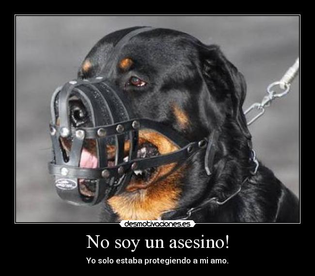No soy un asesino! - 