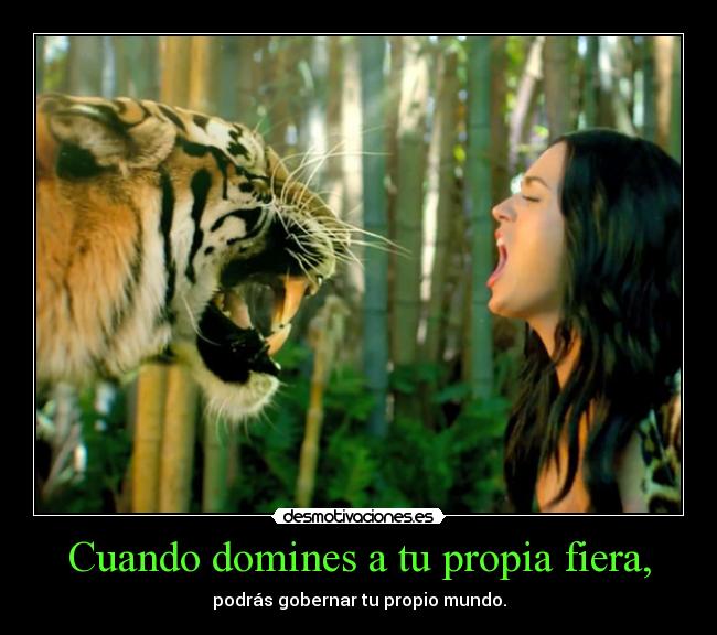 carteles fuerza desmotivaciones