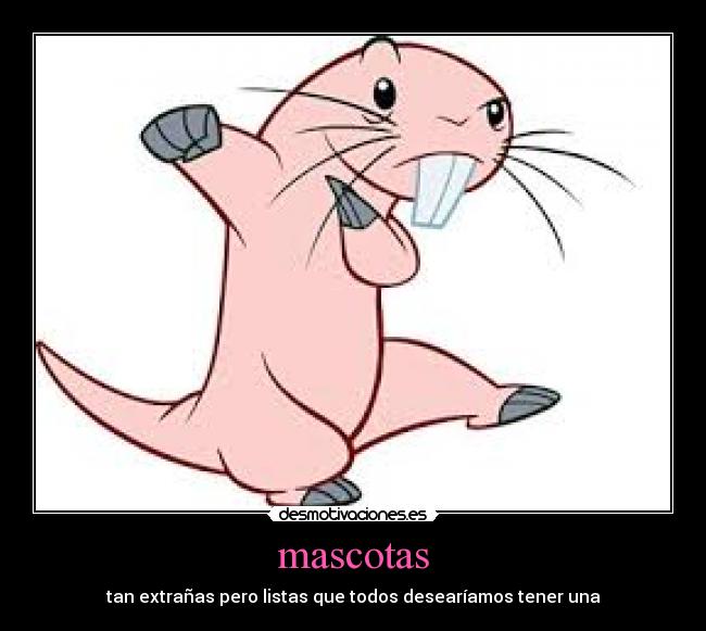 mascotas - tan extrañas pero listas que todos desearíamos tener una