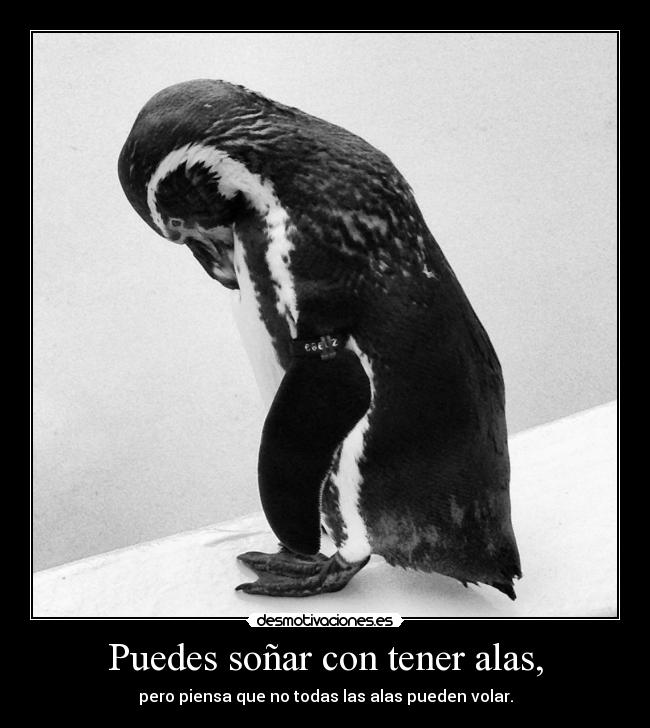 Puedes soñar con tener alas, - pero piensa que no todas las alas pueden volar.