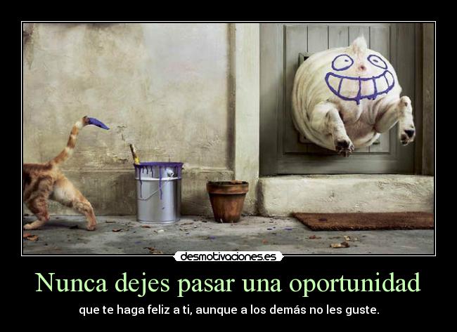 Nunca dejes pasar una oportunidad - que te haga feliz a ti, aunque a los demás no les guste.
