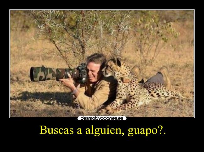 Buscas a alguien, guapo?. - 