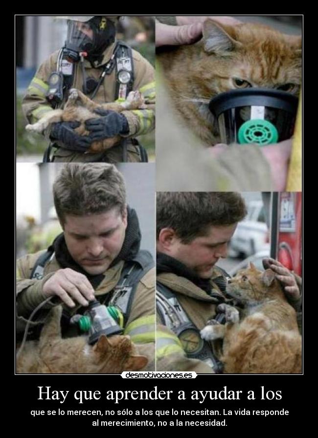 carteles achuda desmotivaciones