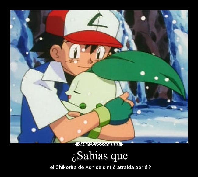 ¿Sabias que - el Chikorita de Ash se sintió atraída por él?