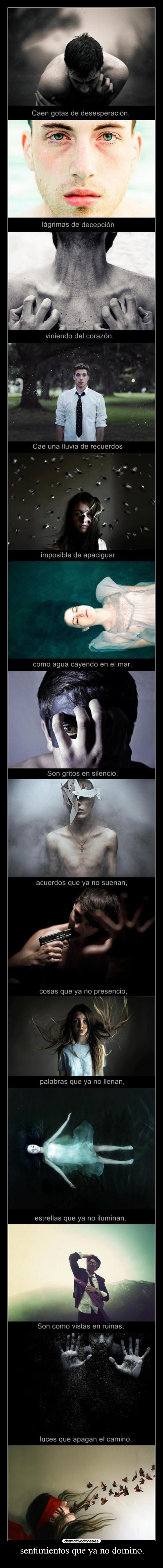 sentimientos que ya no domino. -