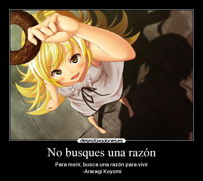 No busques una razón - Para morir, busca una razón para vivir
-Araragi Koyomi