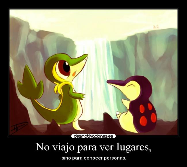 carteles snivy cyndaquil desmotivaciones