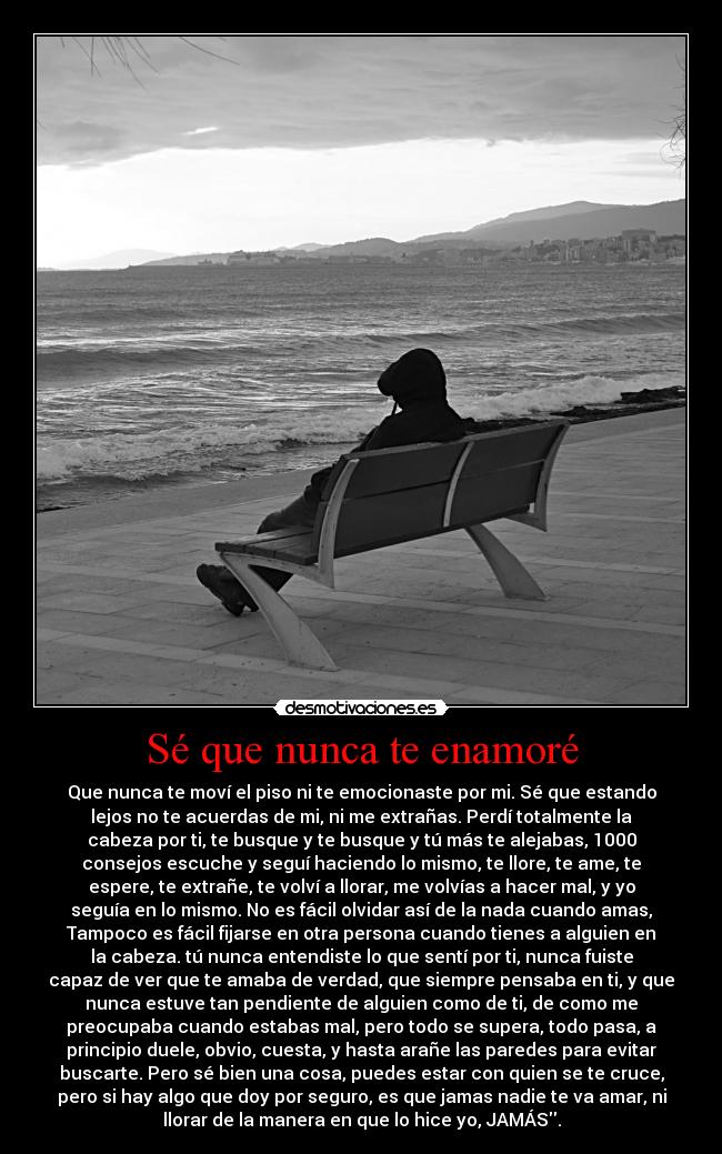 Sé que nunca te enamoré - Que nunca te moví el piso ni te emocionaste por mi. Sé que estando
lejos no te acuerdas de mi, ni me extrañas. Perdí totalmente la
cabeza por ti, te busque y te busque y tú más te alejabas, 1000
consejos escuche y seguí haciendo lo mismo, te llore, te ame, te
espere, te extrañe, te volví a llorar, me volvías a hacer mal, y yo
seguía en lo mismo. No es fácil olvidar así de la nada cuando amas,
Tampoco es fácil fijarse en otra persona cuando tienes a alguien en
la cabeza. tú nunca entendiste lo que sentí por ti, nunca fuiste
capaz de ver que te amaba de verdad, que siempre pensaba en ti, y que
nunca estuve tan pendiente de alguien como de ti, de como me
preocupaba cuando estabas mal, pero todo se supera, todo pasa, a
principio duele, obvio, cuesta, y hasta arañe las paredes para evitar
buscarte. Pero sé bien una cosa, puedes estar con quien se te cruce,
pero si hay algo que doy por seguro, es que jamas nadie te va amar, ni
llorar de la manera en que lo hice yo, JAMÁS.