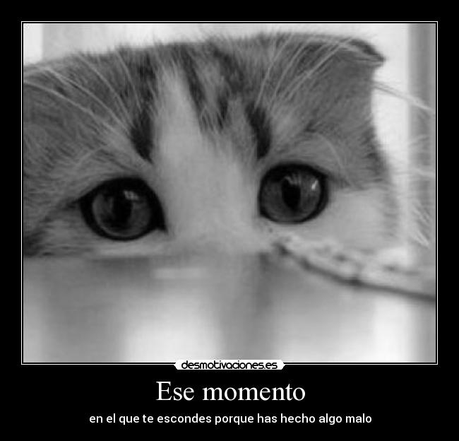 Ese momento - en el que te escondes porque has hecho algo malo