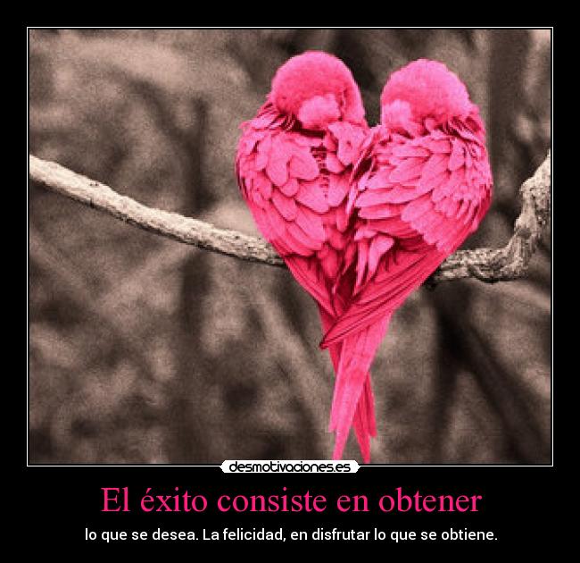 El éxito consiste en obtener - lo que se desea. La felicidad, en disfrutar lo que se obtiene.