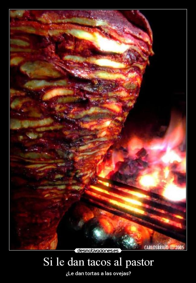 Si le dan tacos al pastor - ¿Le dan tortas a las ovejas?